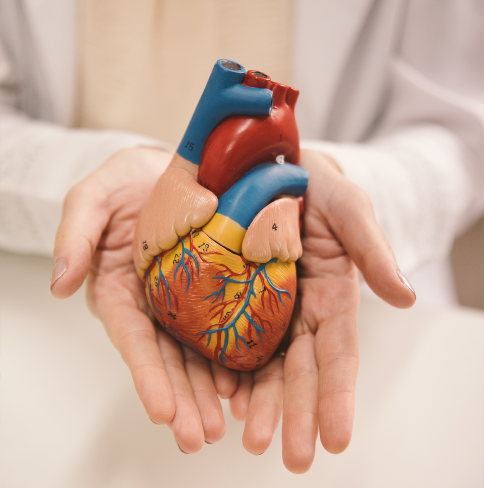 Dra. Elaine coutinho Midia 2